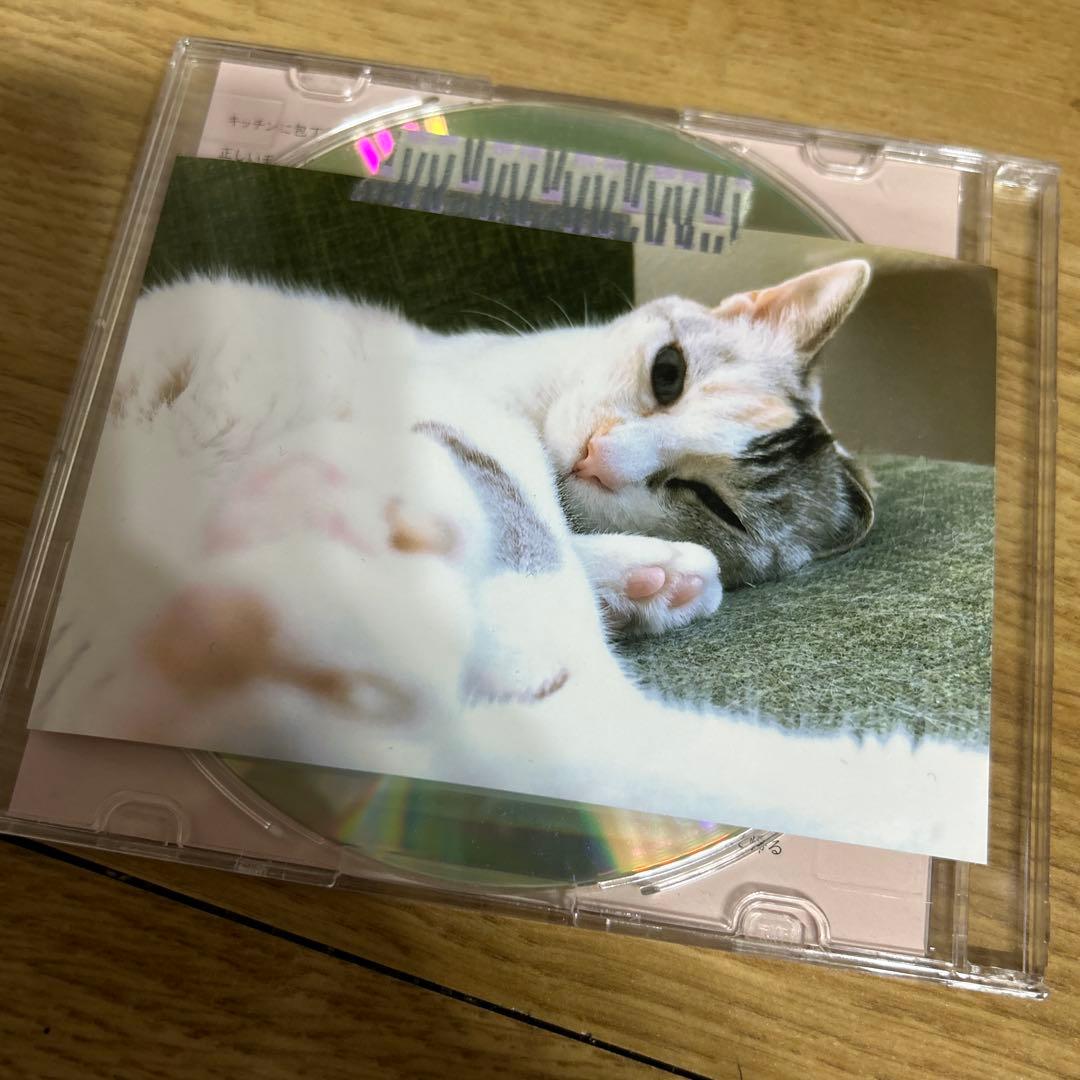 カザマタカフミ　何(と)もない日　CD
