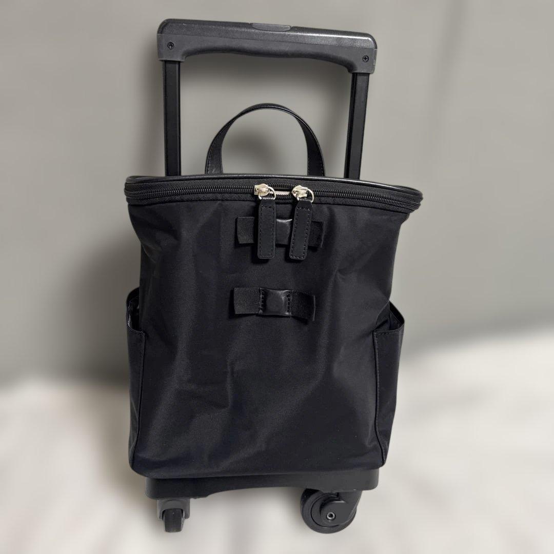 SWANYスワニー アミーカ キャリーバッグ　4輪ストッパー付き