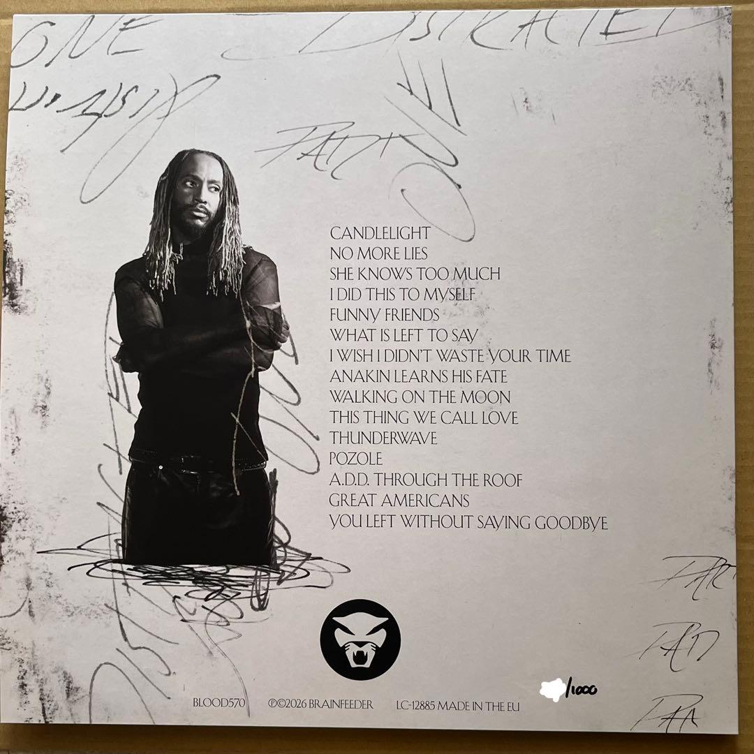 Thundercat Distracted 超限定マーブル盤 レコード アナログ