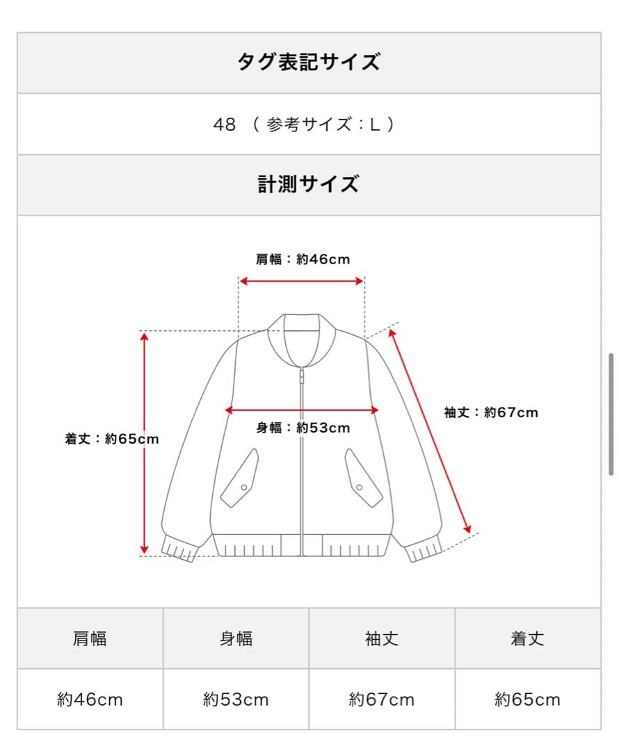 【専用】【美品】Herno 軽アウター ジャケット ダウンパーカー 【ネイビー】