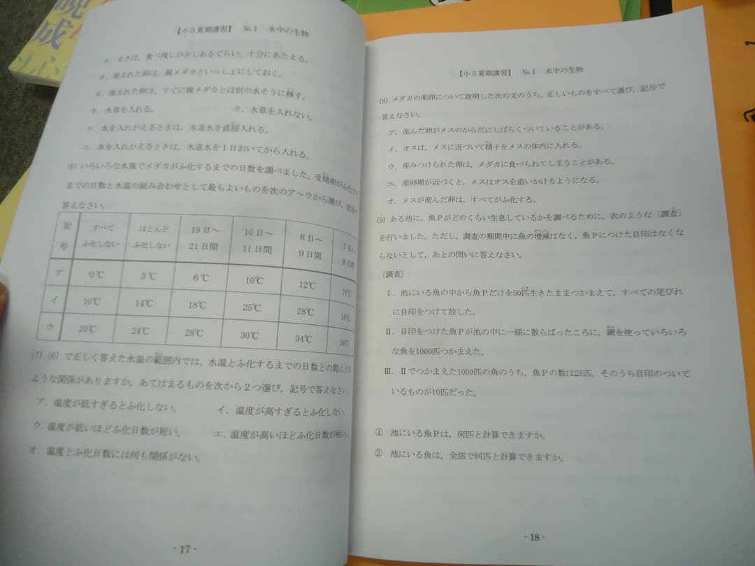 浜学園 5年　国/算/理/春期/夏期/冬期　テキスト　2019年使用版
