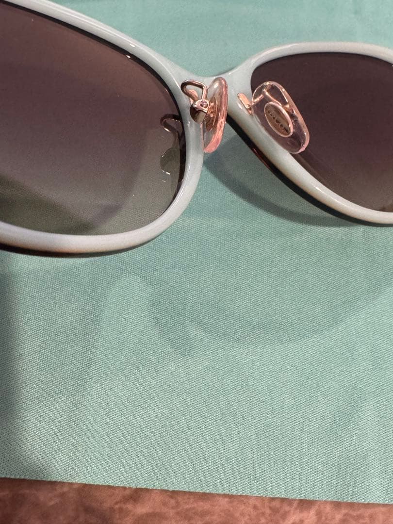 【日本限定モデル】Tiffany & Co. サングラス ケース付き