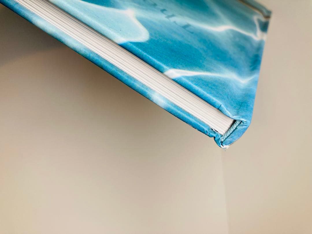 The Swimming Pool Deanna Templeton 写真集