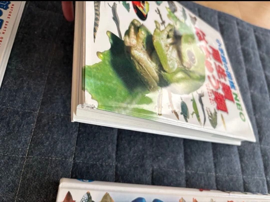 小学校の図鑑 NEO 恐竜 動物 昆虫 星鳥 魚　両生類　鉄道　宇宙　DVD