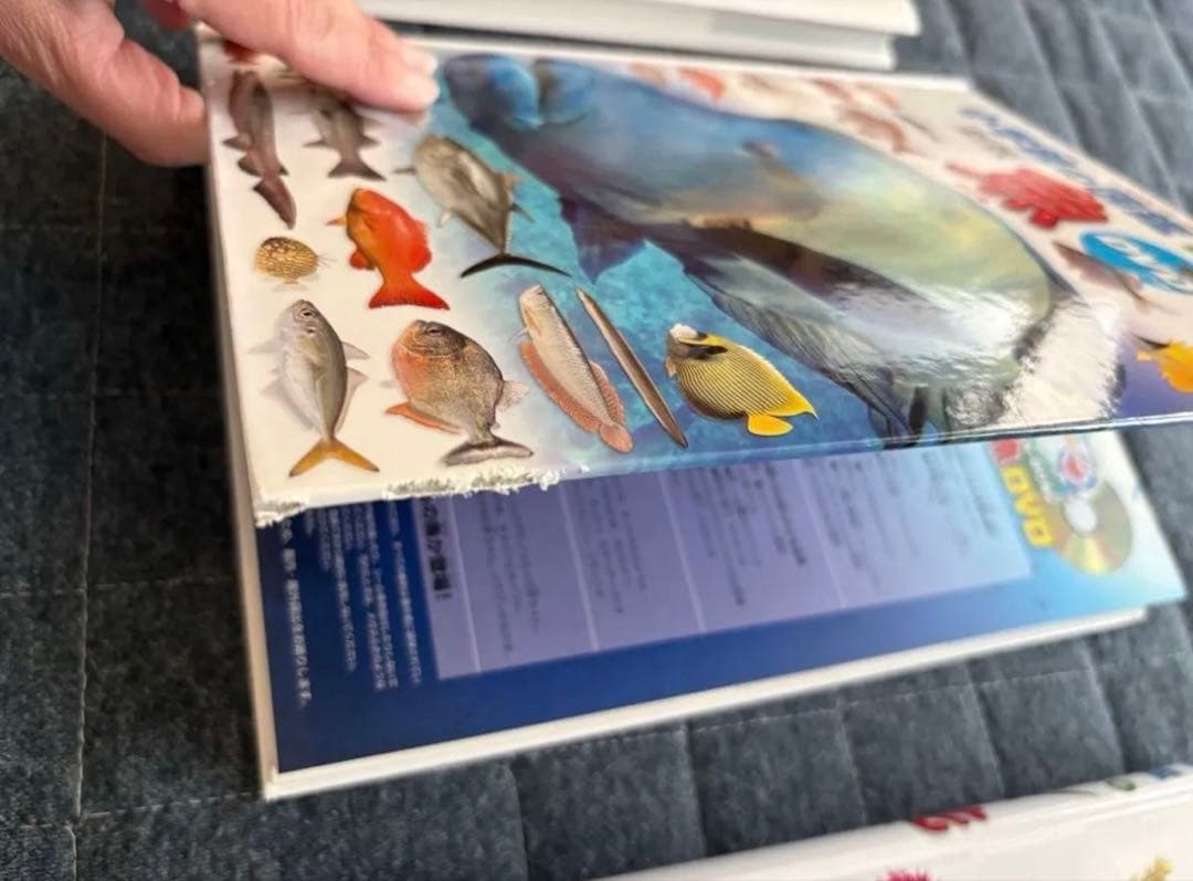 小学校の図鑑 NEO 恐竜 動物 昆虫 星鳥 魚　両生類　鉄道　宇宙　DVD