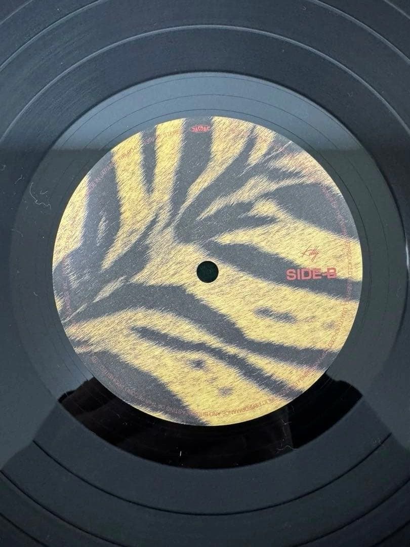 THE HIGH-LOWS レコード　帯付き　original ハイロウズ
