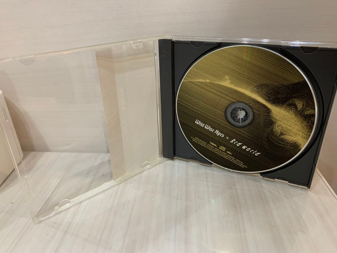 ☆Wild Wise Apes CD 3rd world 歌詞カード無し