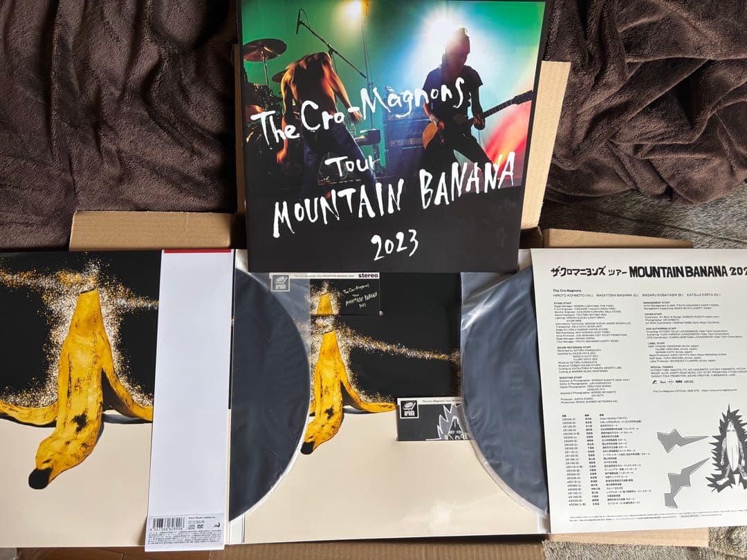 ザ・クロマニヨンズ ツアー MOUNTAIN BANANA 2023