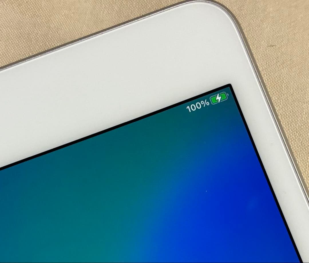 Apple iPad mini 第5世代 美品