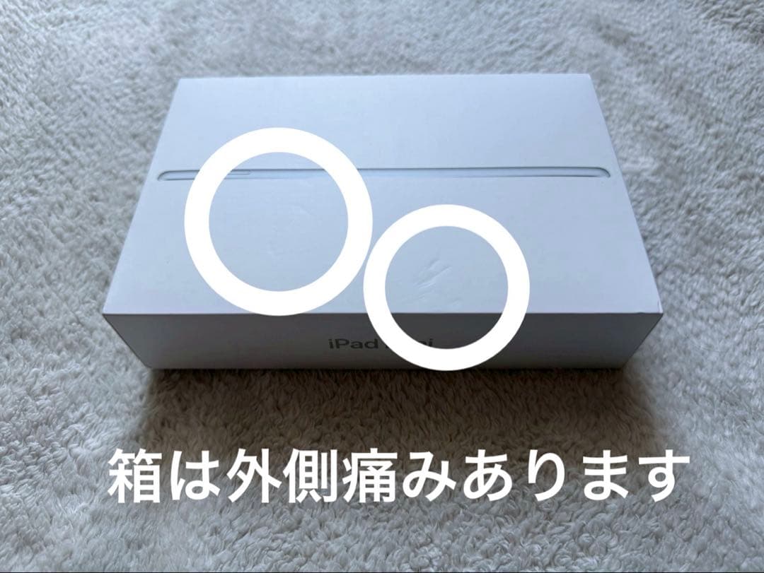 Apple iPad mini 第5世代 美品