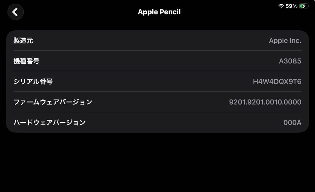 Apple Pencil USB-C アップルペンシル