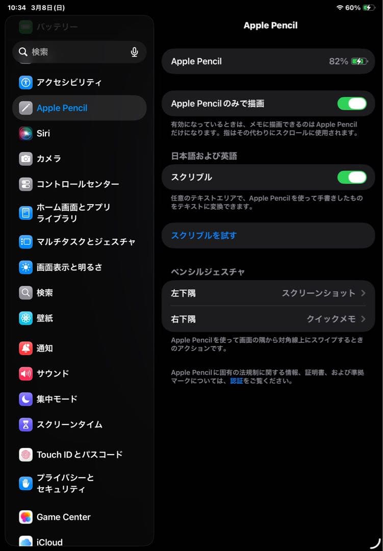 Apple Pencil USB-C アップルペンシル