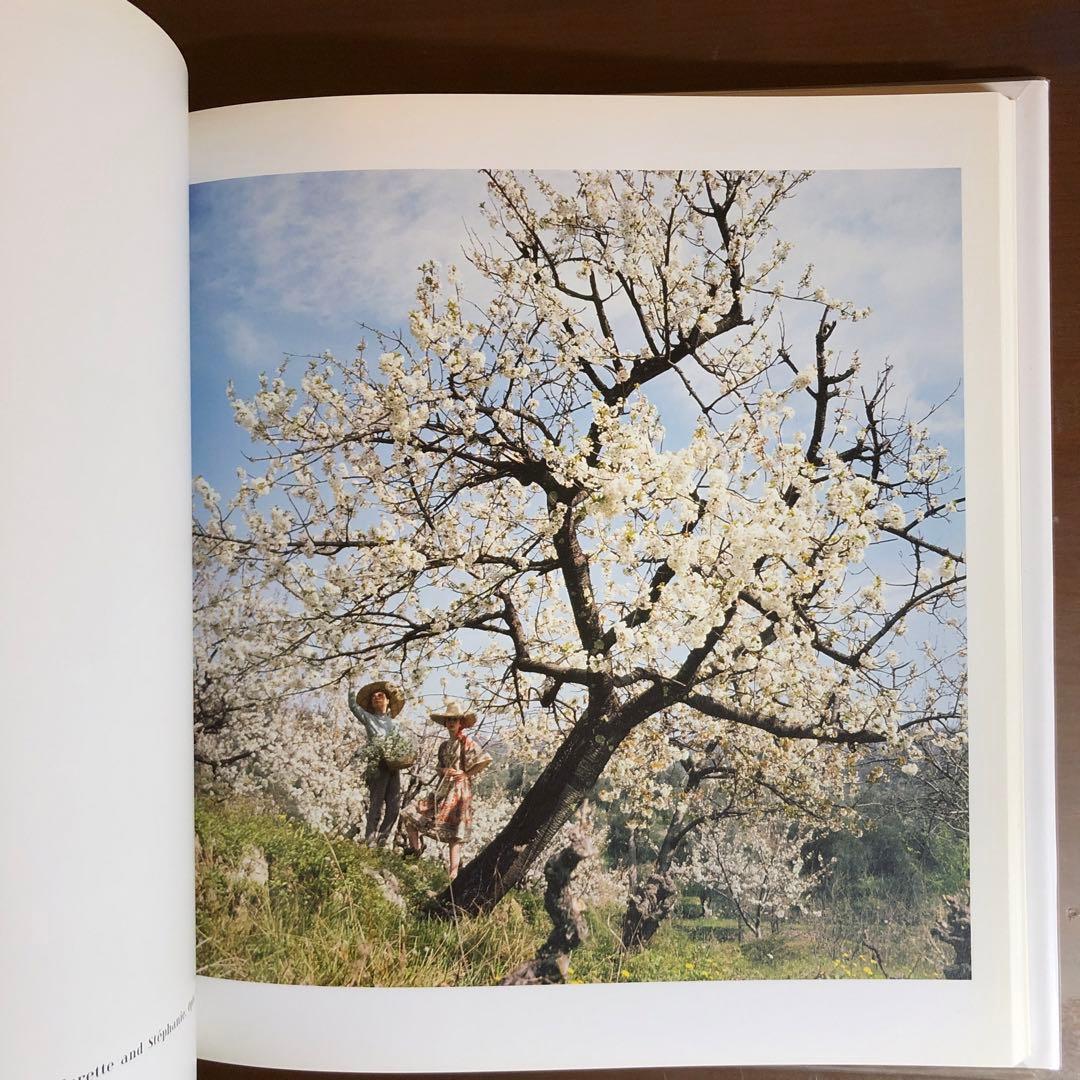 Lartigue: Life in Color 写真集 (洋書)