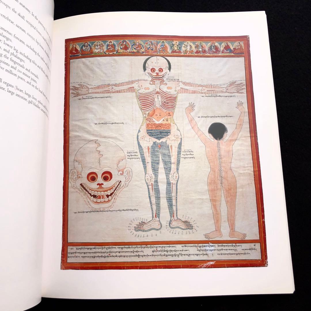 チベット医学 曼荼羅画集 The Buddha's Art of Healing