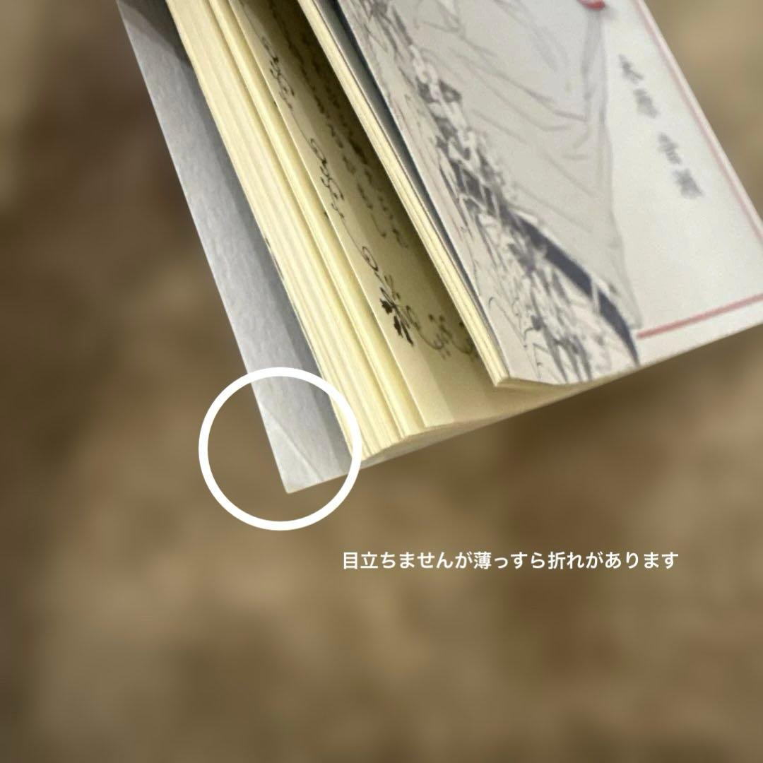 愛すること　木原音瀬　日高ショーコ　小冊子