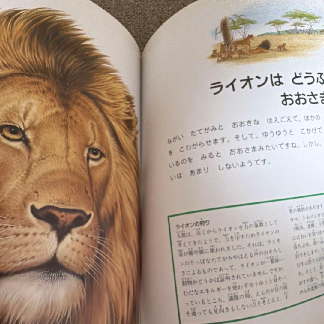 なぜなにブック 第4教室【全22巻セット】家庭保育園 日本学校図書 知育 図鑑