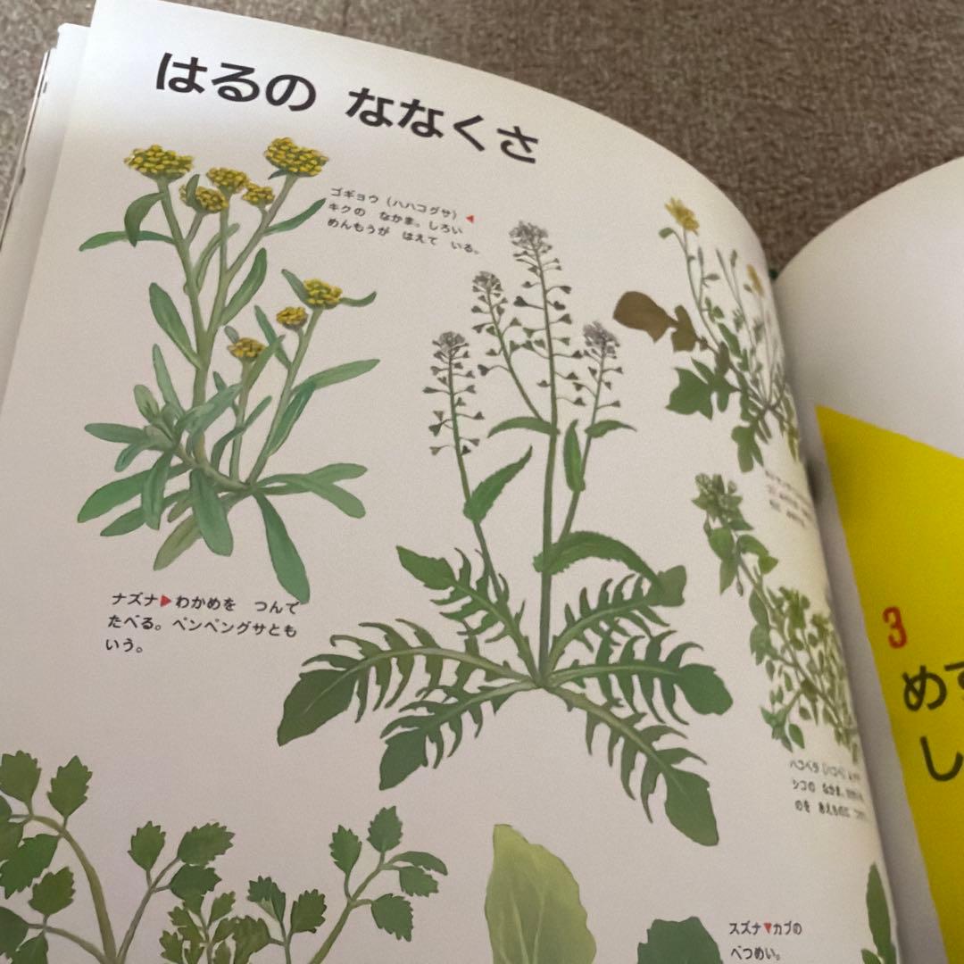 なぜなにブック 第4教室【全22巻セット】家庭保育園 日本学校図書 知育 図鑑