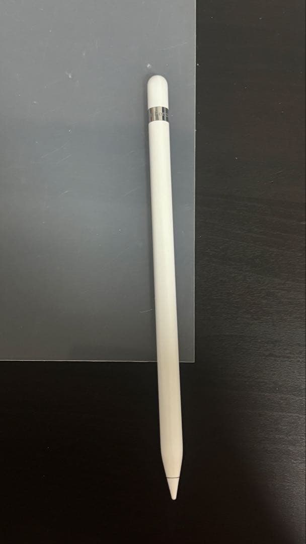 iPad本体 iPad9 256G +Apple Pencil