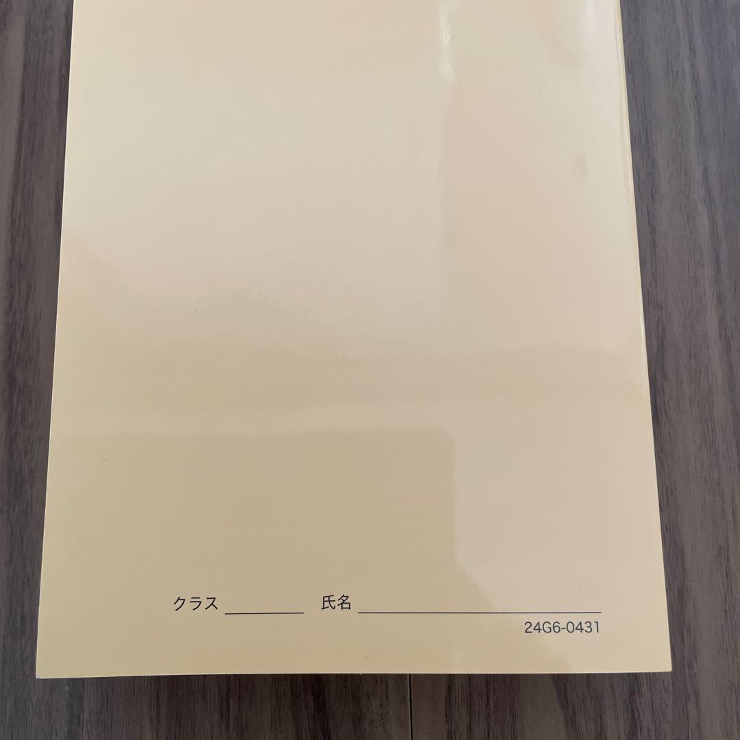 鉄緑会　高3化学　入試化学確認シリーズ　2024年版！新品・未使用！