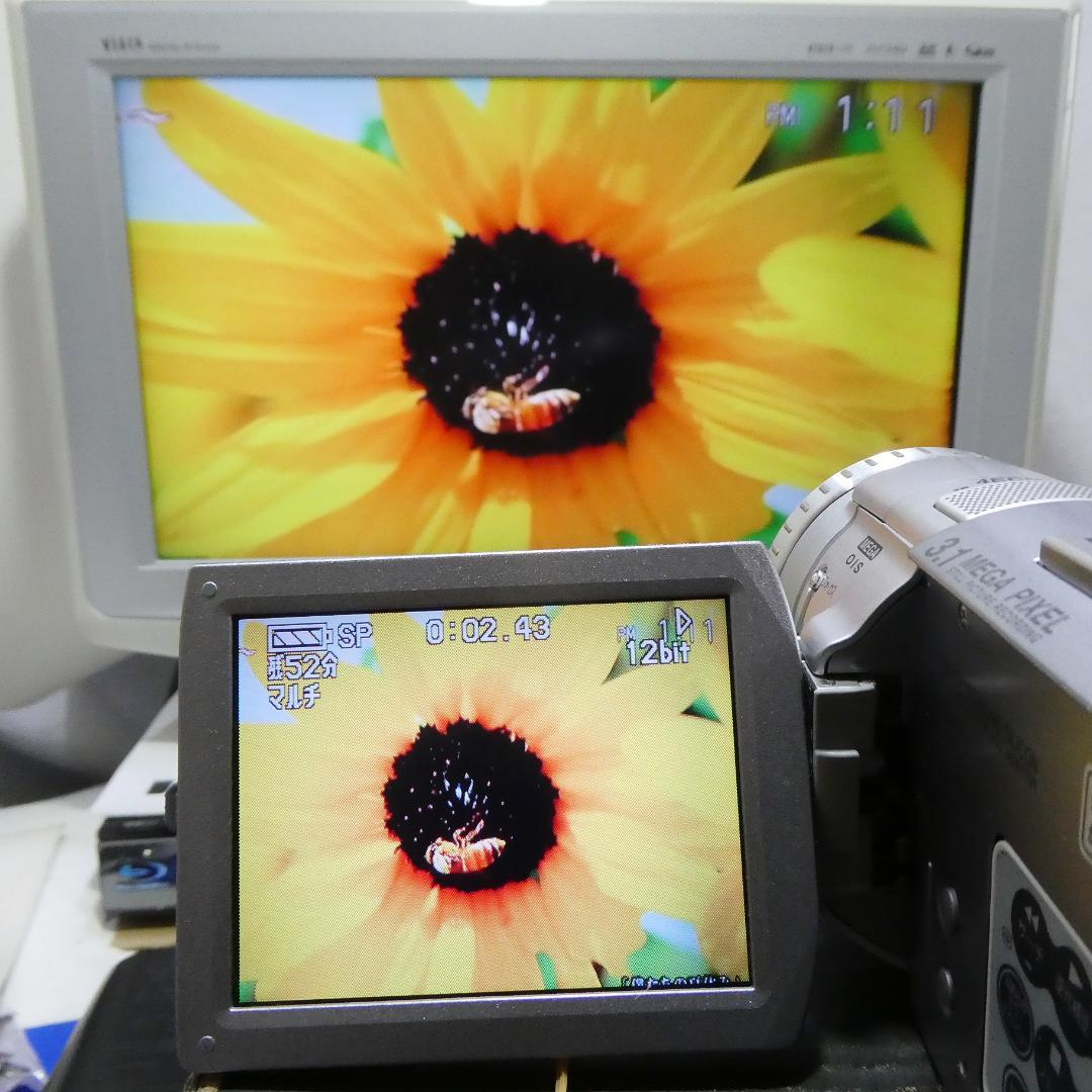 動作良好 パナソニック NV-GS100 MiniDVビデオカメラDVD化に最適