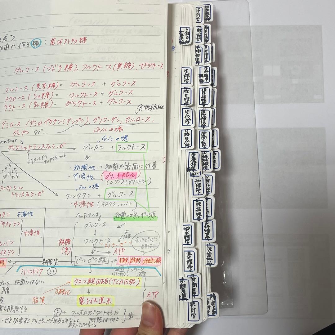 第35回 歯科衛生士国家試験 203点合格者使用 教材まとめ売り 付箋ノート付