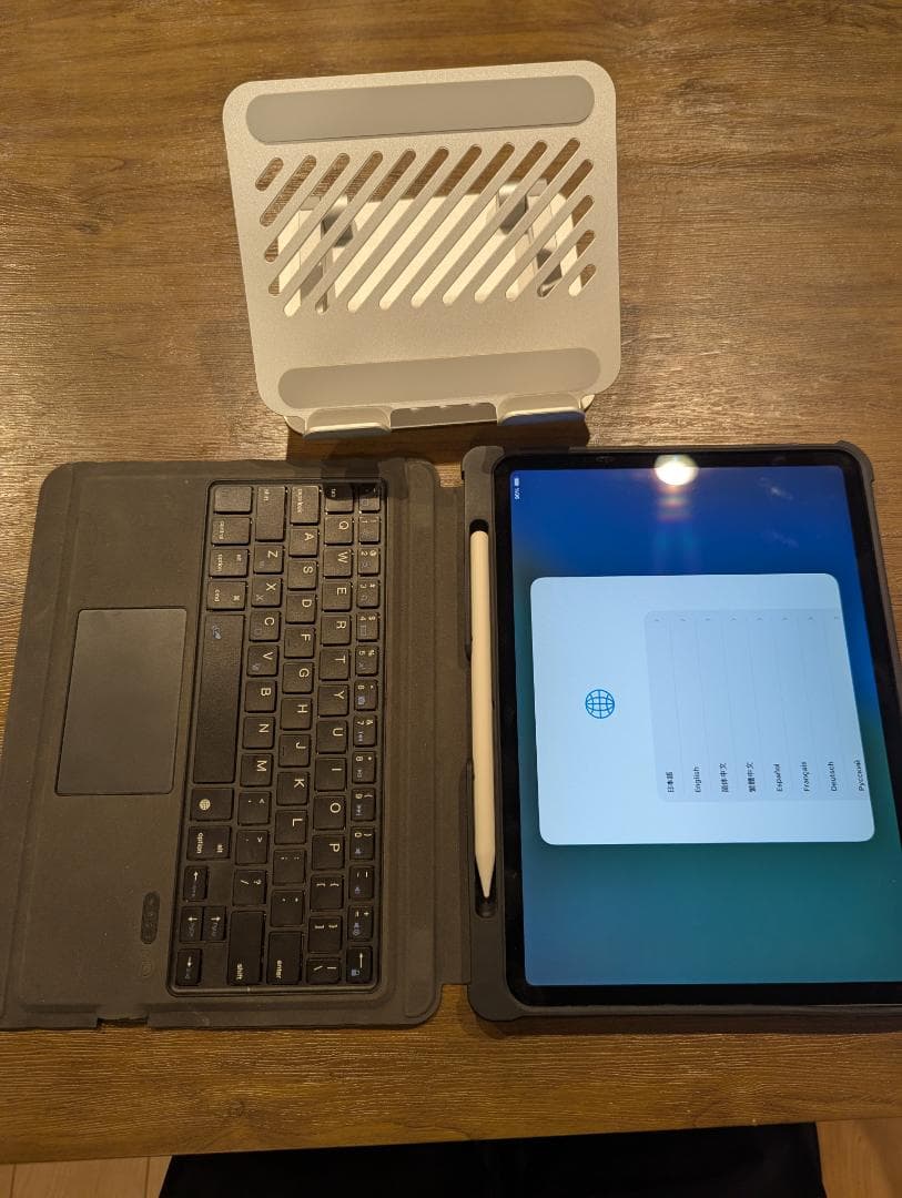 【美品】iPad Pro 11インチ 第1世代 256GB （箱なし）