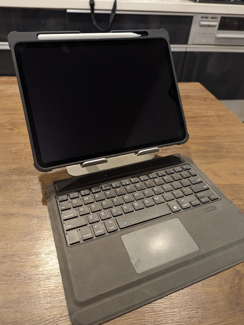 【美品】iPad Pro 11インチ 第1世代 256GB （箱なし）