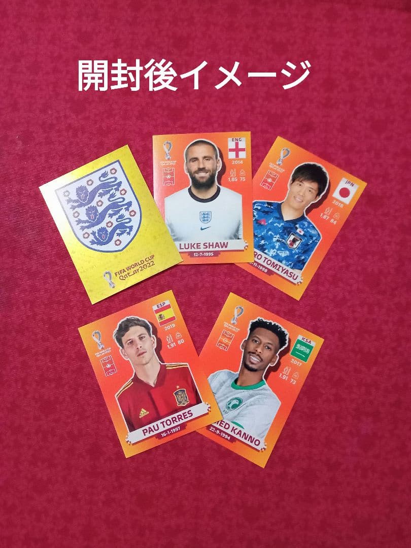2022 PANINI PRIZM ベルギー代表& W杯公式ステッカーセット