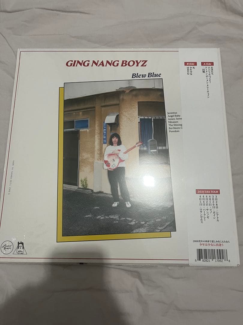 銀杏BOYZ ぶるぶる レコード 限定盤 スプラッター