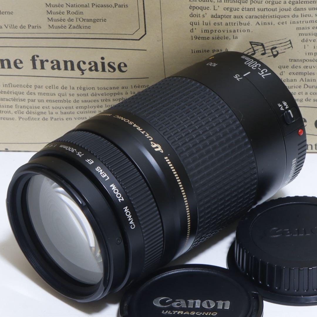 ◇超望遠&高速AF◇ Canon純正 75-300mm II型 望遠レンズ ◇