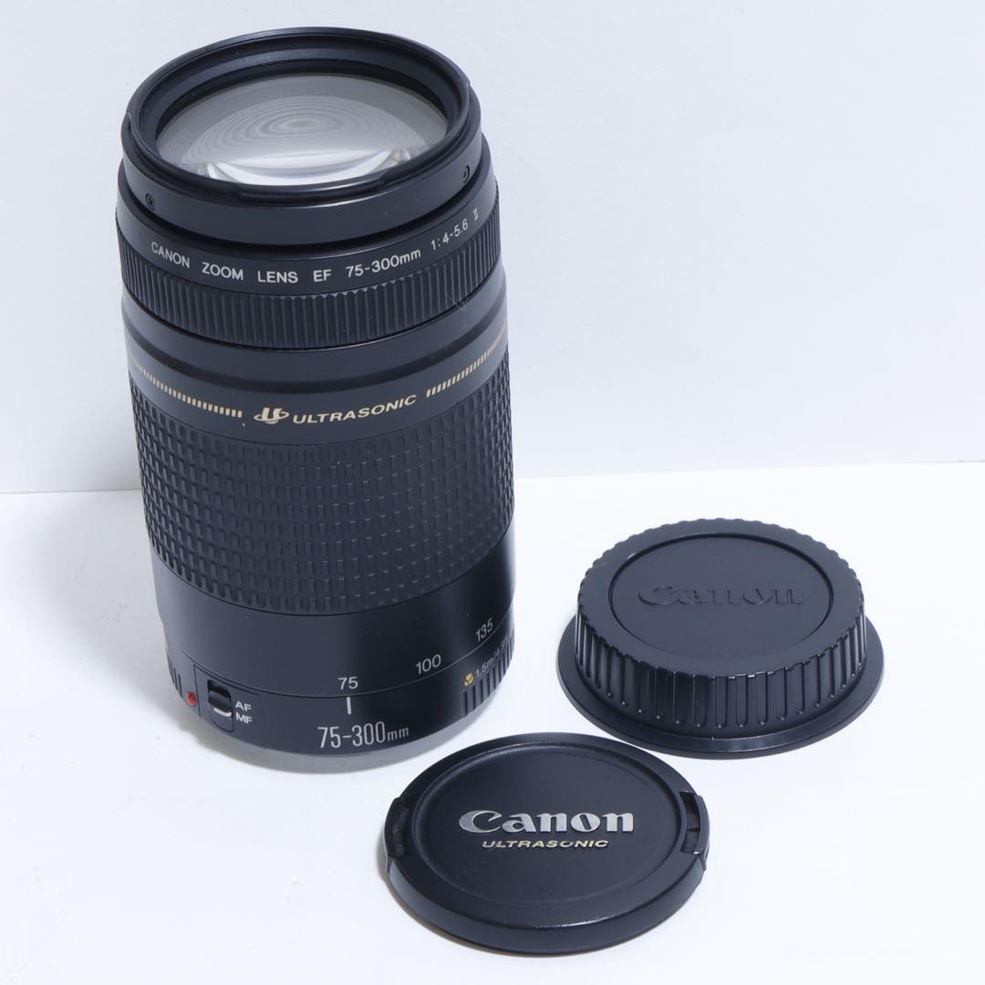 ◇超望遠&高速AF◇ Canon純正 75-300mm II型 望遠レンズ ◇