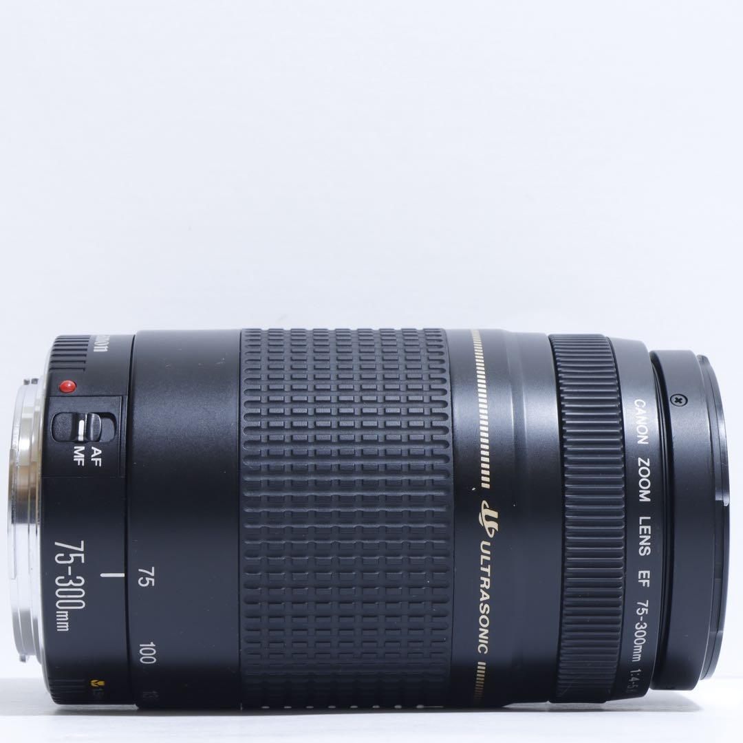 ◇超望遠&高速AF◇ Canon純正 75-300mm II型 望遠レンズ ◇