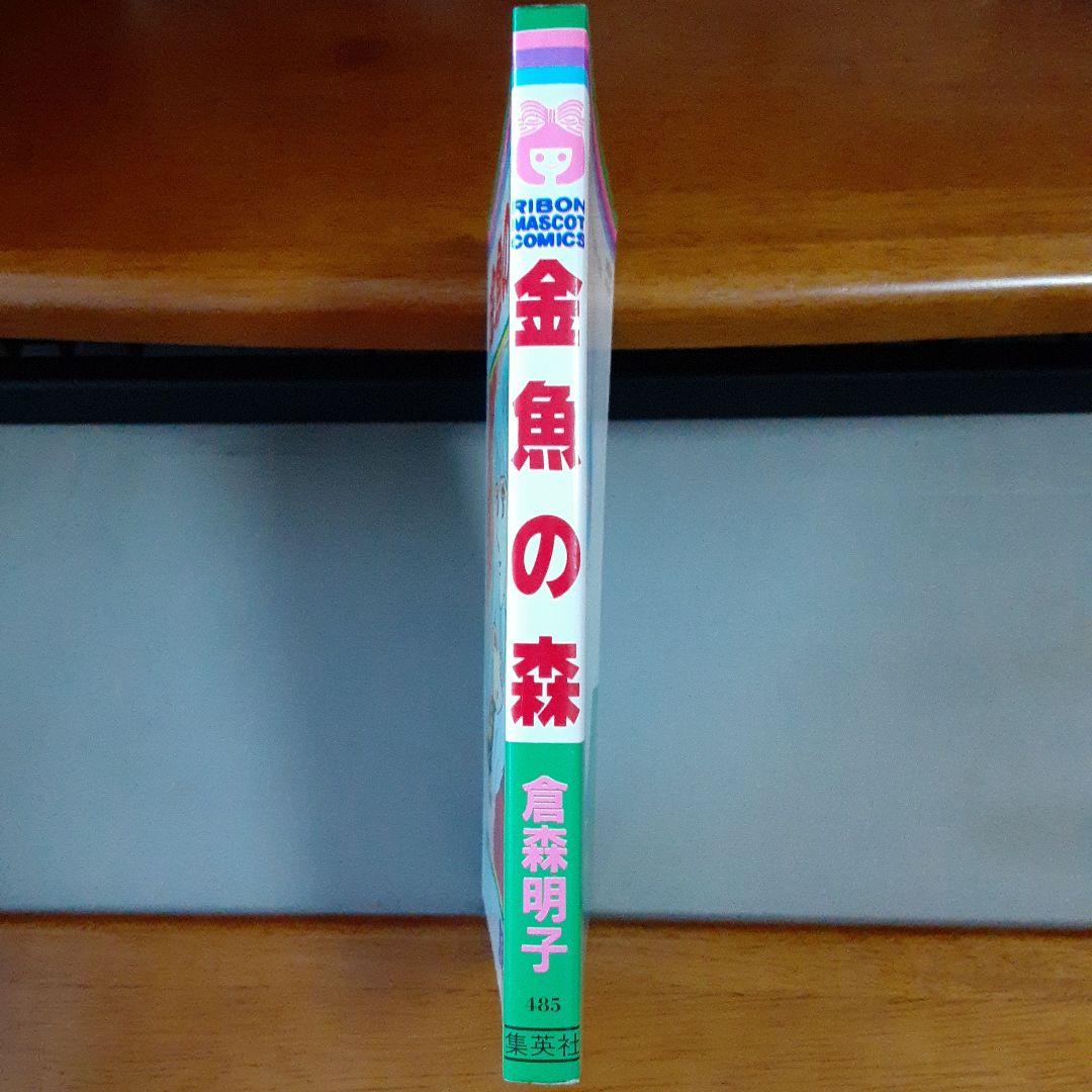 倉森明子 金魚の森