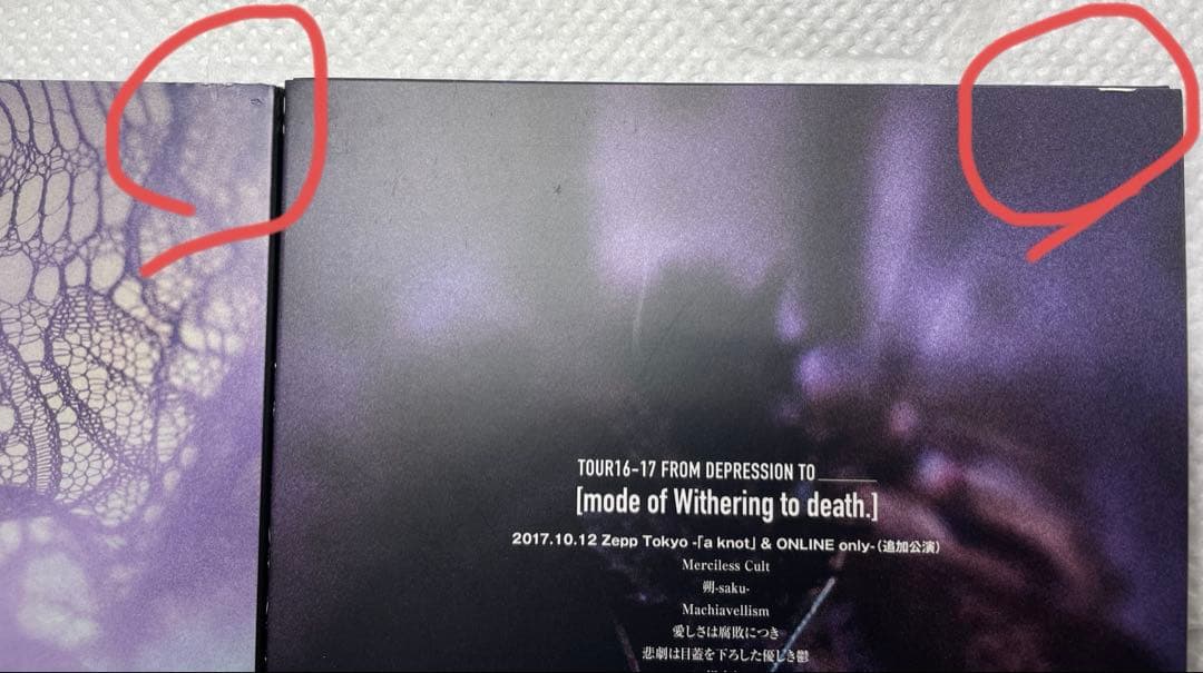 DIRENGREY mode of～ DVDセット