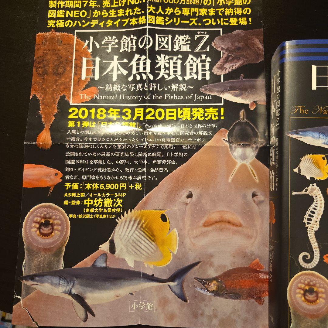 日本魚類館 精緻な写真と詳しい解説　おまけチラシ付