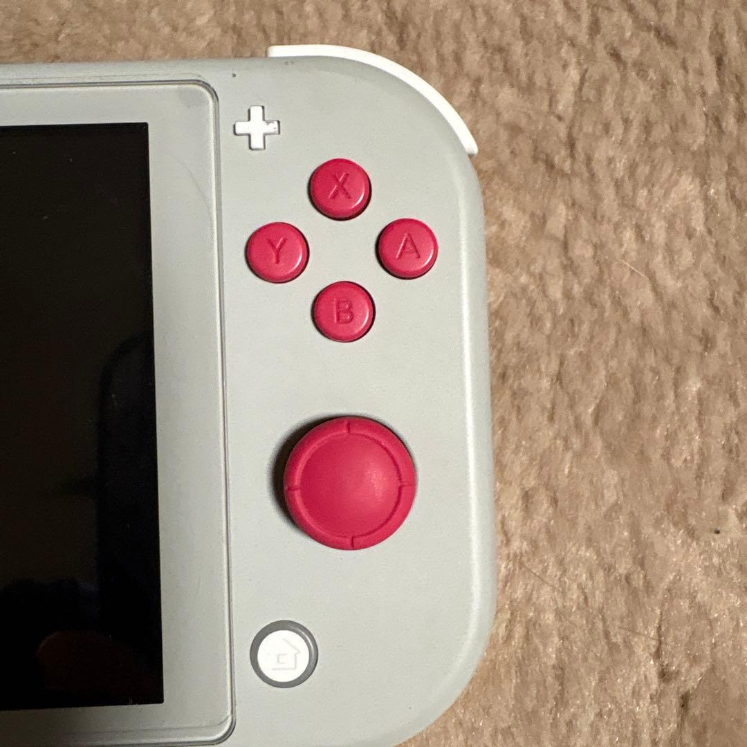 Nintendo Switch Lite グレー　ケース付き