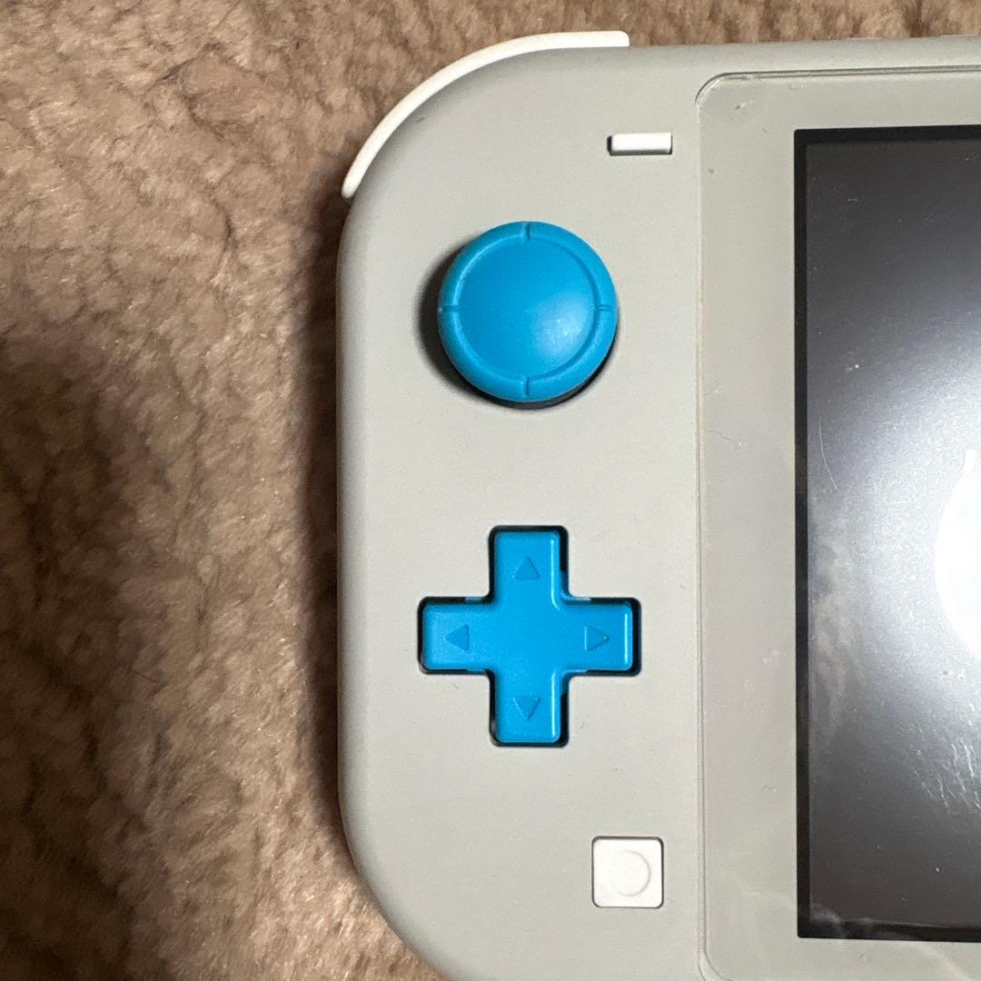Nintendo Switch Lite グレー　ケース付き