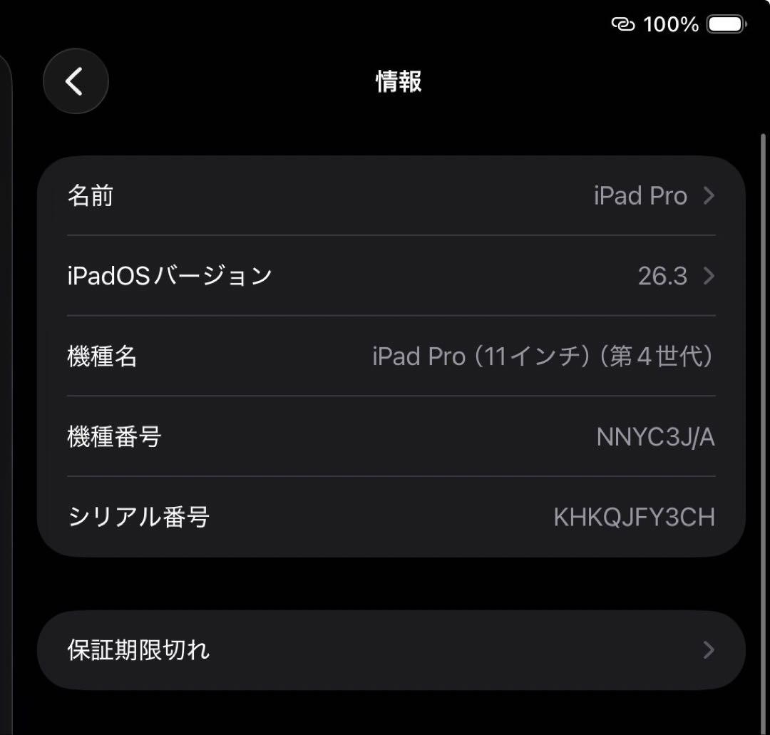 【訳あり】Apple iPad Pro11インチ ダークグレー 第4世代セルラー