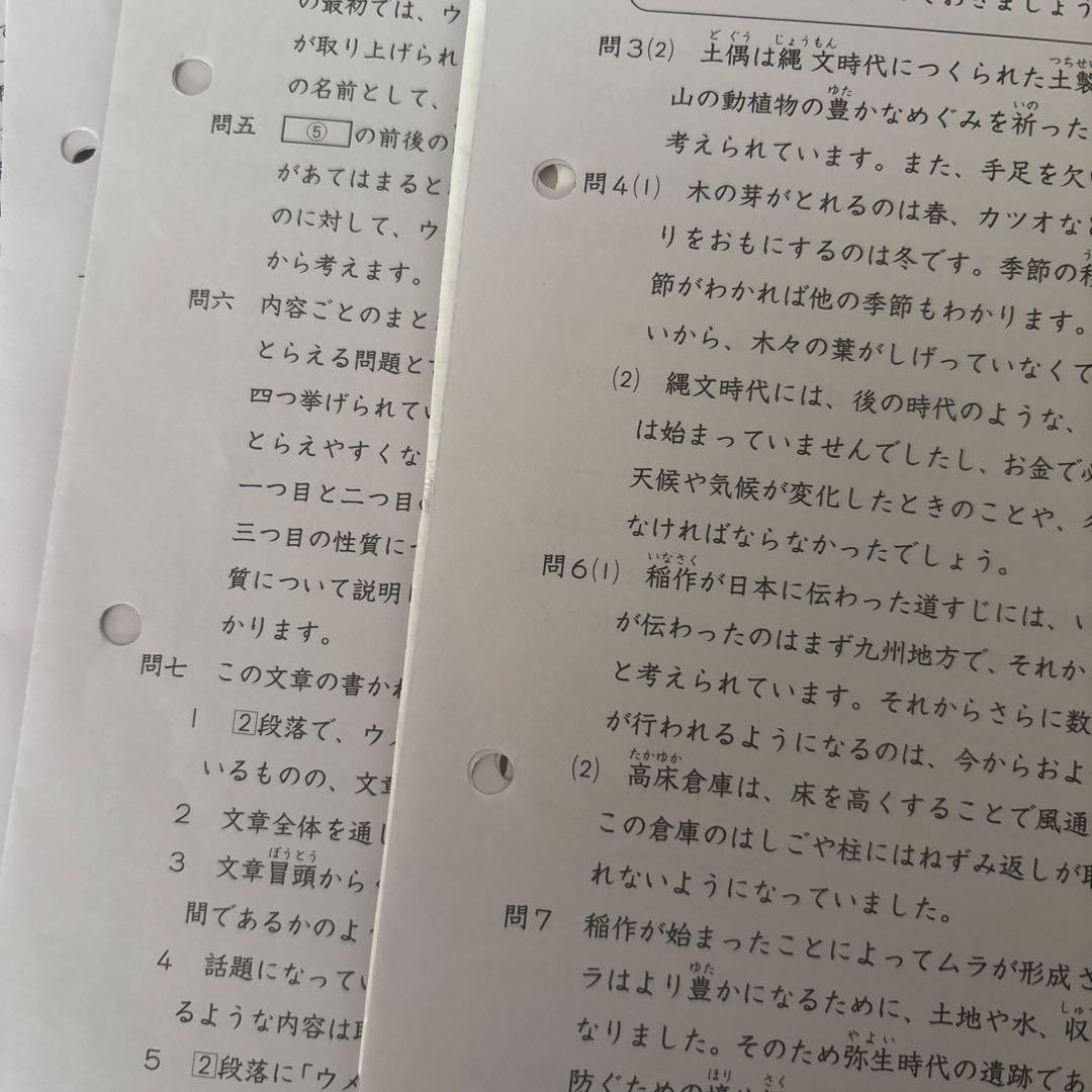 日能研　2024年度5年生　育成テスト