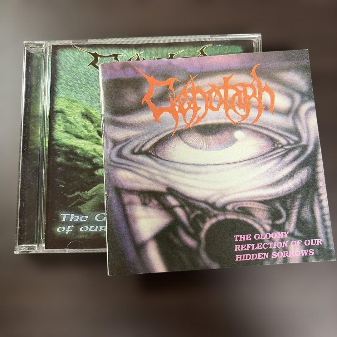 洋楽 Cenotaph/the gloomy reflection of our hi