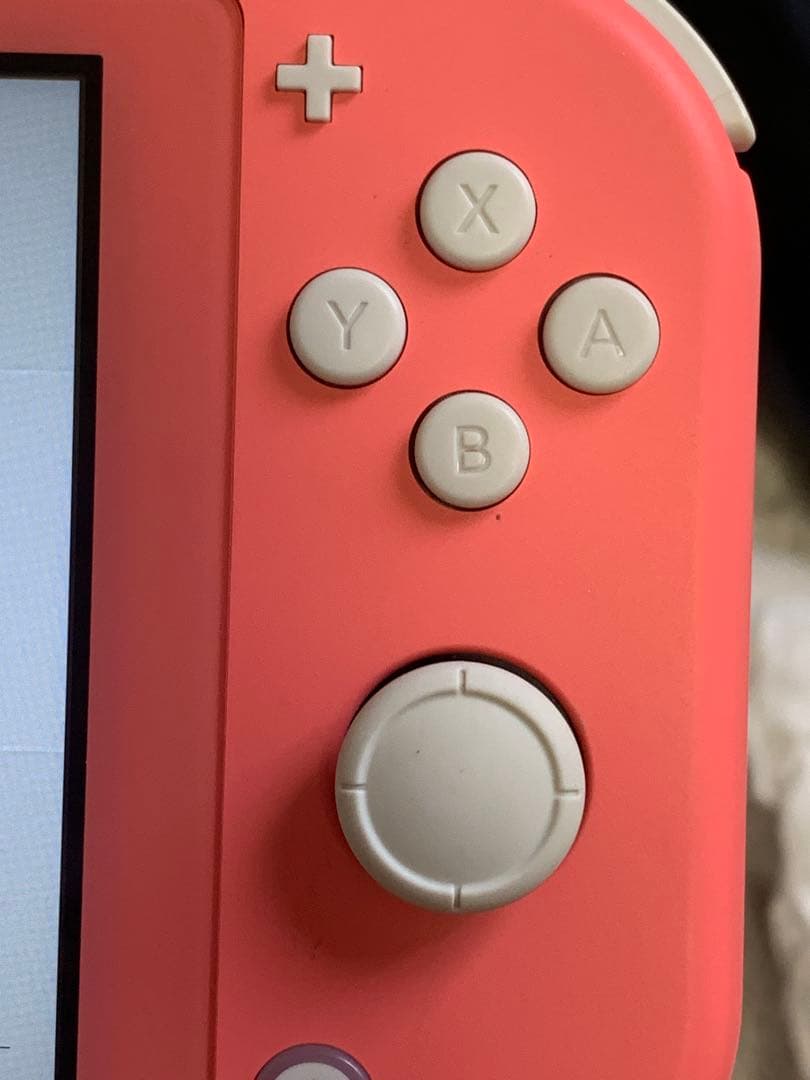 Nintendo Switch Lite ピンク + 大乱闘スマッシュブラザーズ