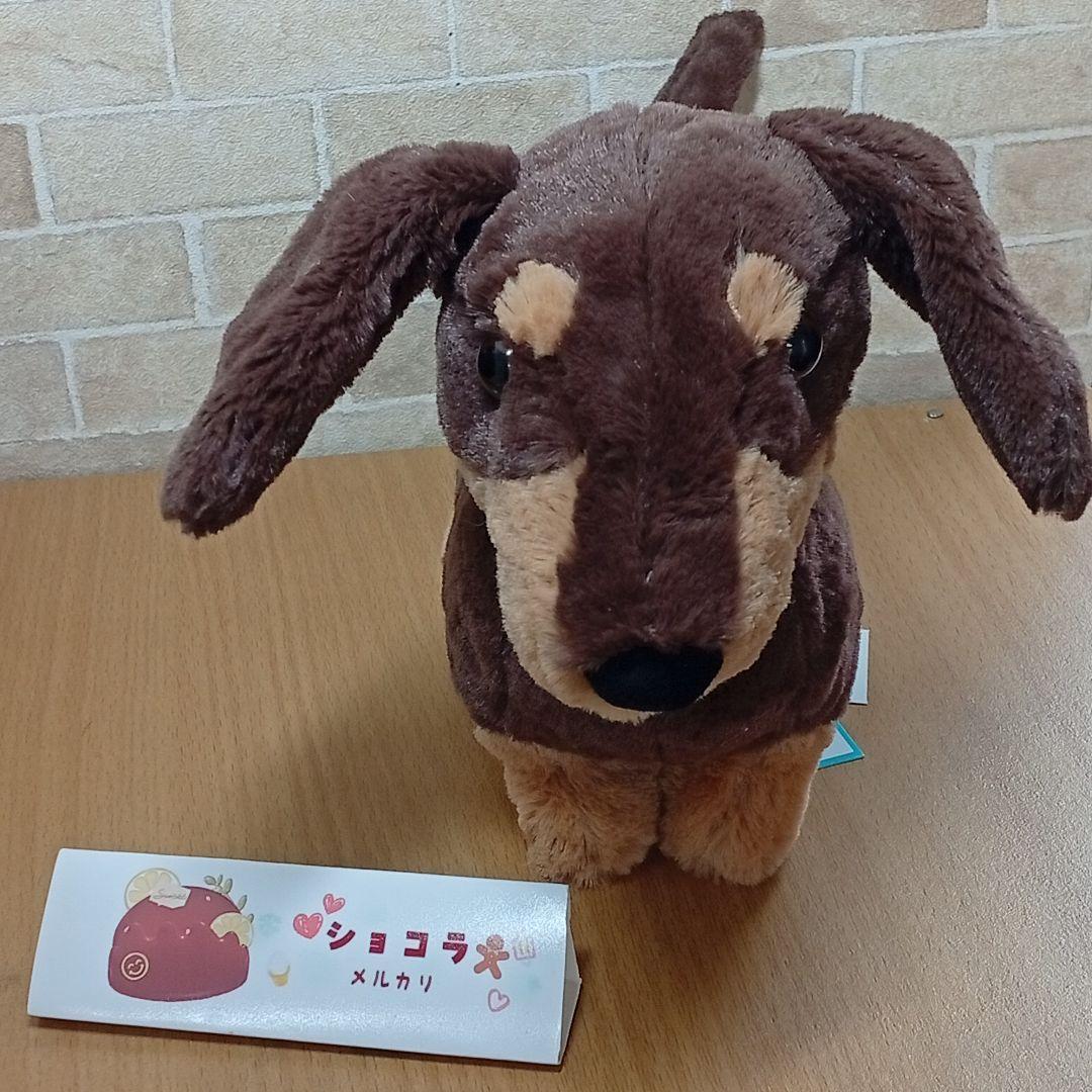  otto Sausage Dog　ジェリーキャット　犬　いぬ