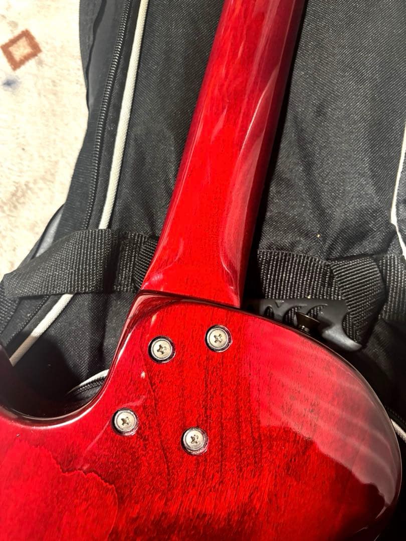 メンテナンス済み！　GrassRoots G-LP-49
