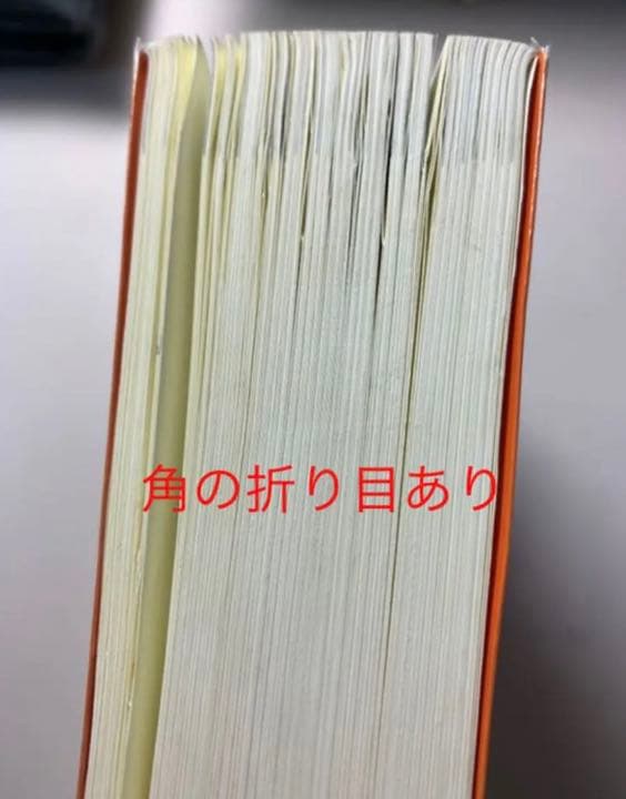 電験第1種模範解答集　平成25年版