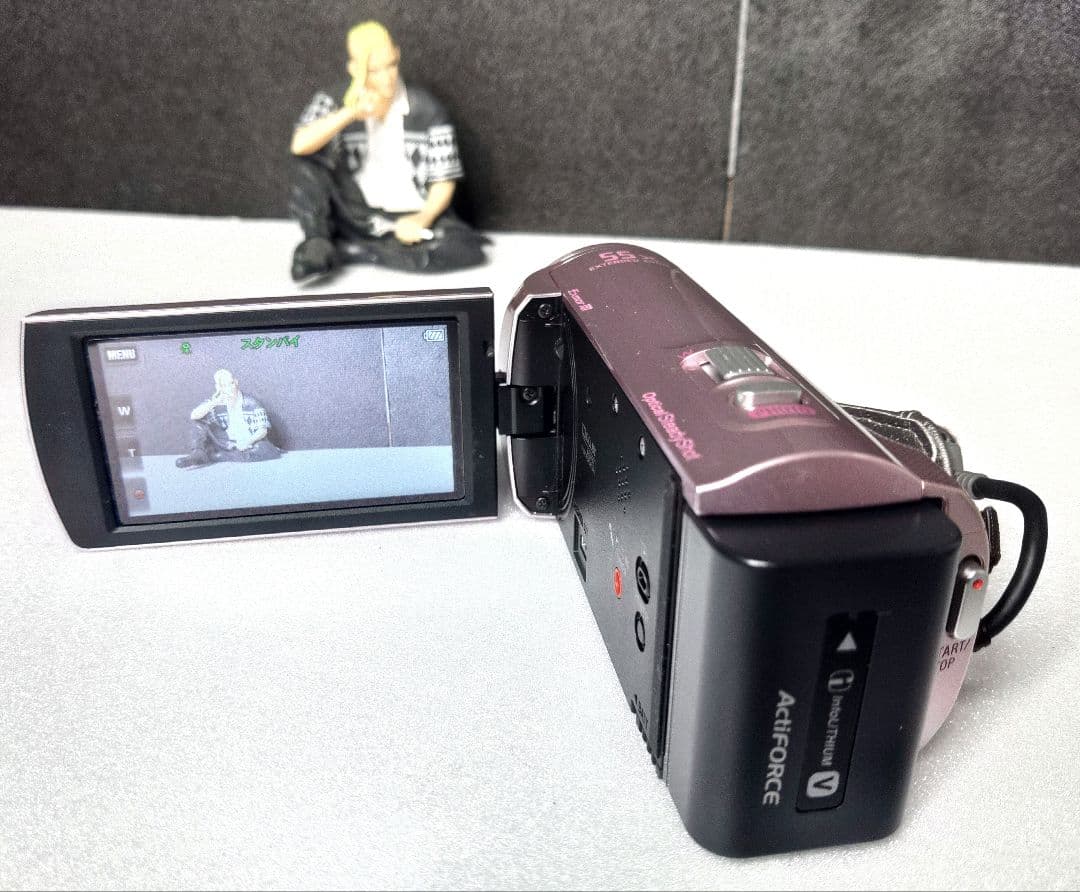 SONY ハンディカム ビデオカメラ HDR-CX390 ピンク　人気カラー