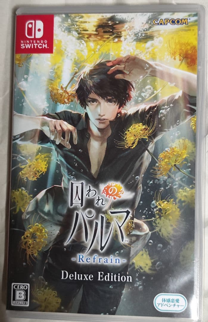中古　囚われのパルマREFRAIN DX.E　動作確認済み