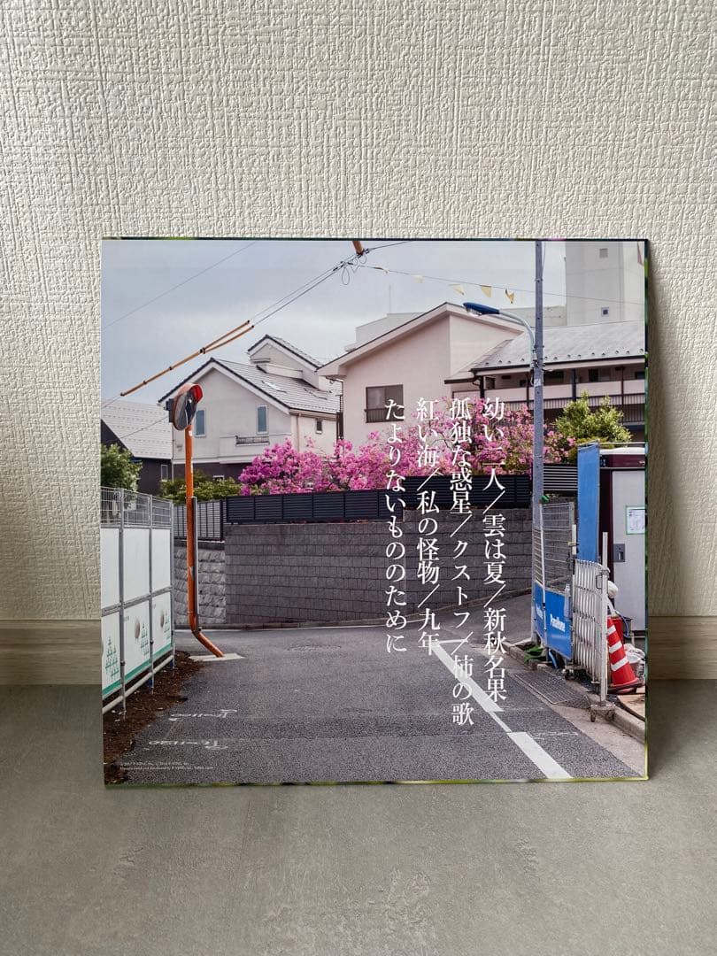 たよりないもののために 寺尾紗穂 レコード