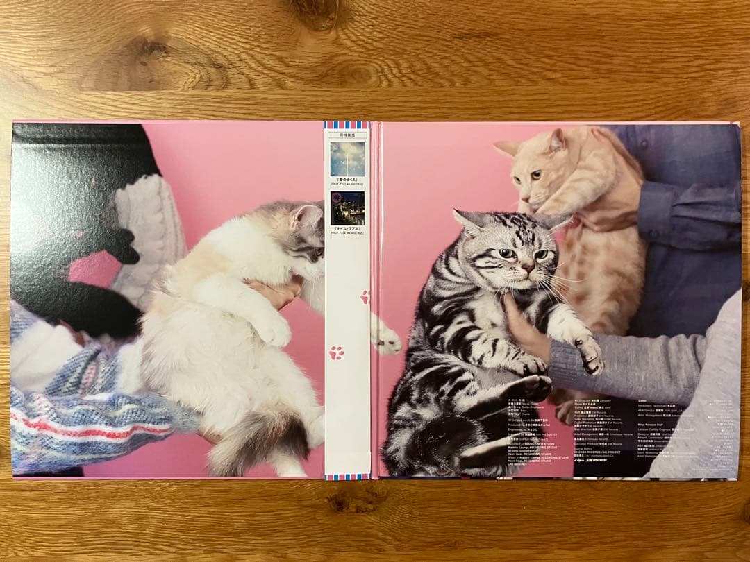きのこ帝国 – 猫とアレルギー アナログレコード LP