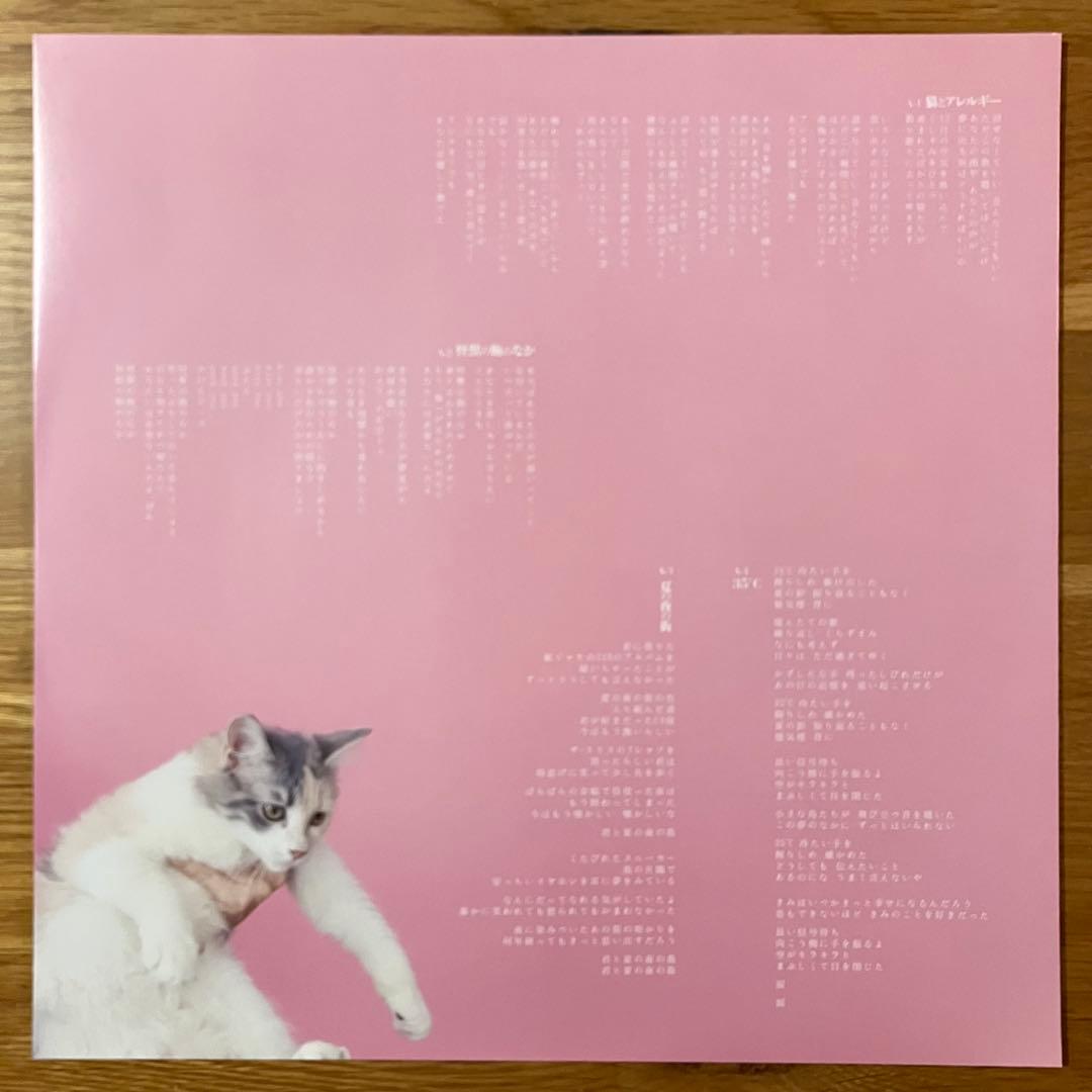 きのこ帝国 – 猫とアレルギー アナログレコード LP