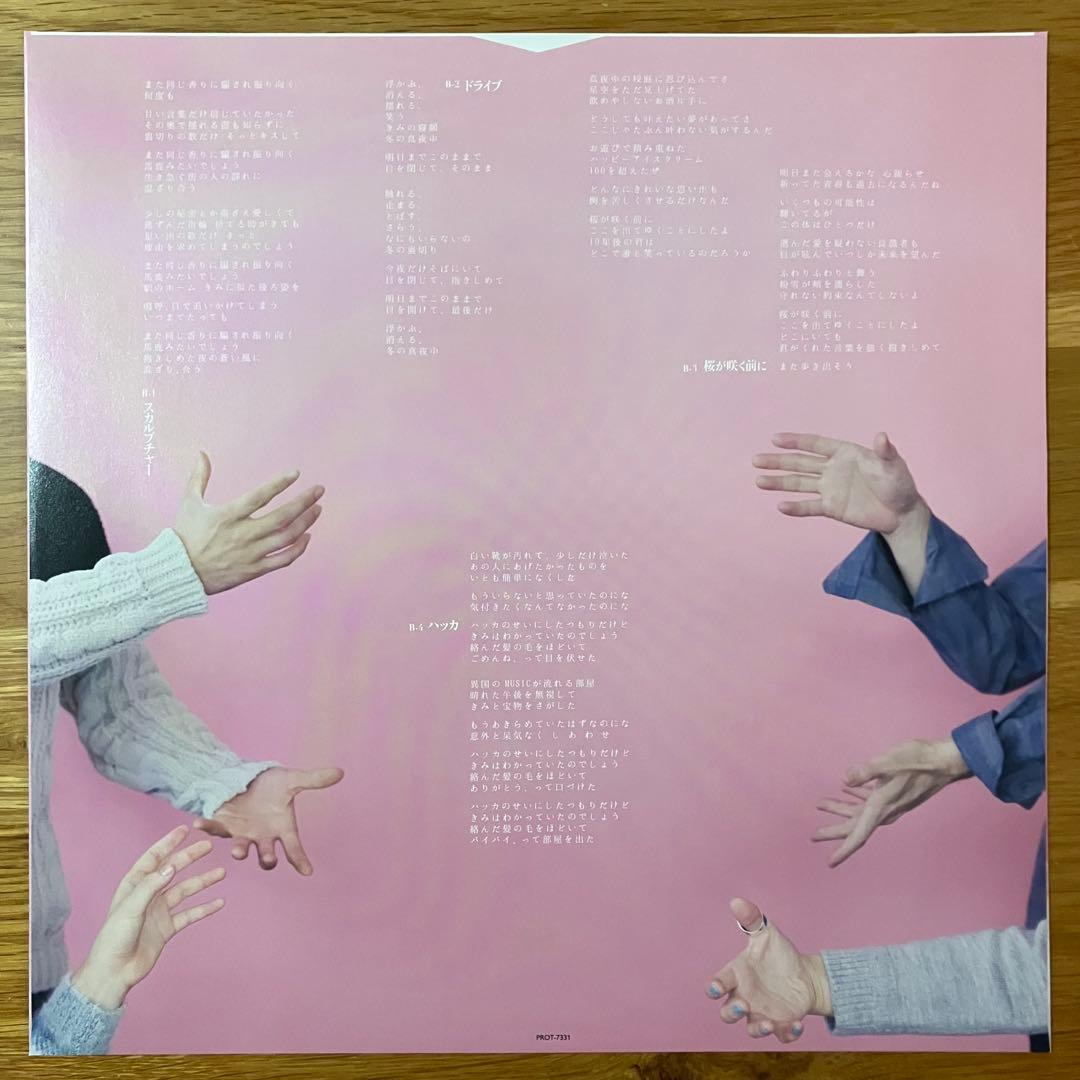 きのこ帝国 – 猫とアレルギー アナログレコード LP